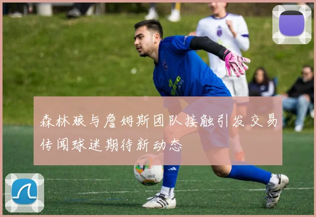 森林狼与詹姆斯团队接触引发交易传闻球迷期待新动态