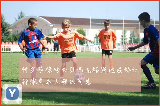 特罗萨德转会贝西克塔斯达成协议待球员本人确认同意
